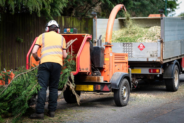  Kaukauna, WI Tree Service Pros